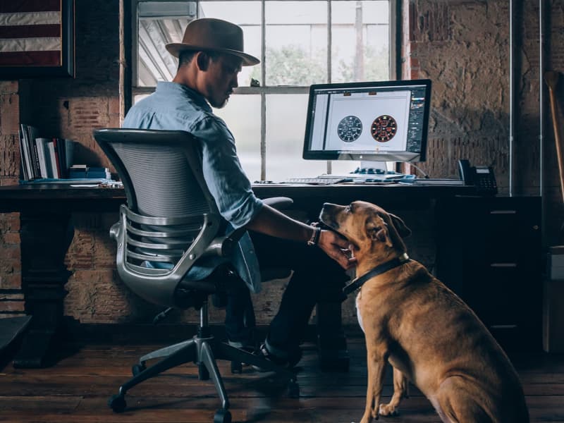 Backend Web Development